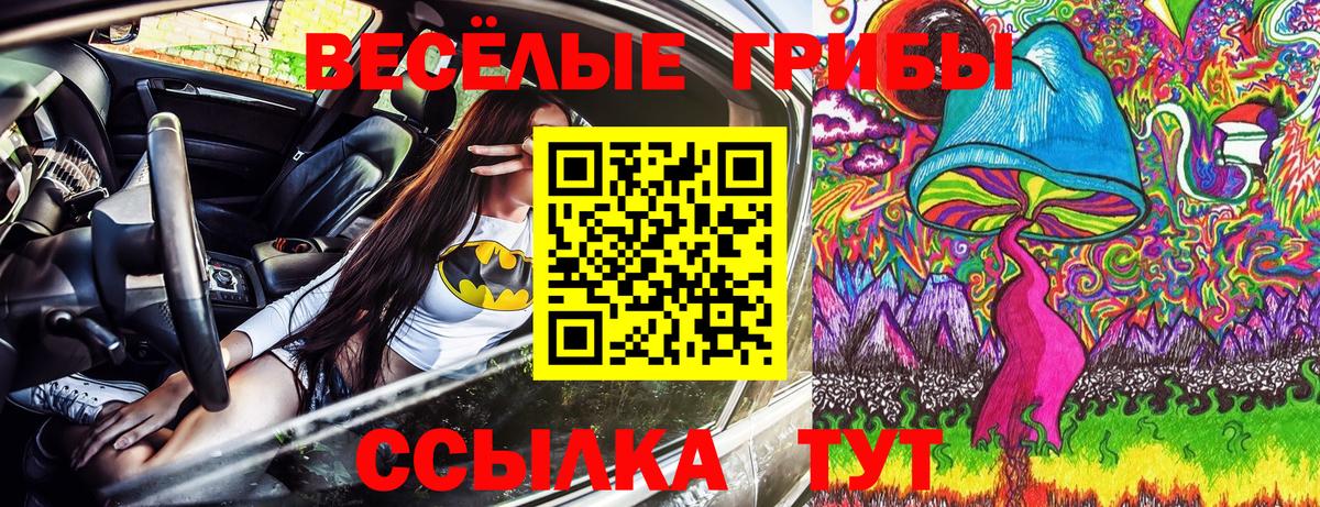 Лысьва  Галлюциногенные грибы Cubensis  Псилоцибиновые грибы ЛСД  Вход с VPN 